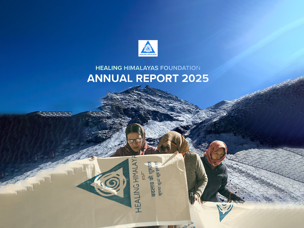 Annual Report 2024-2025