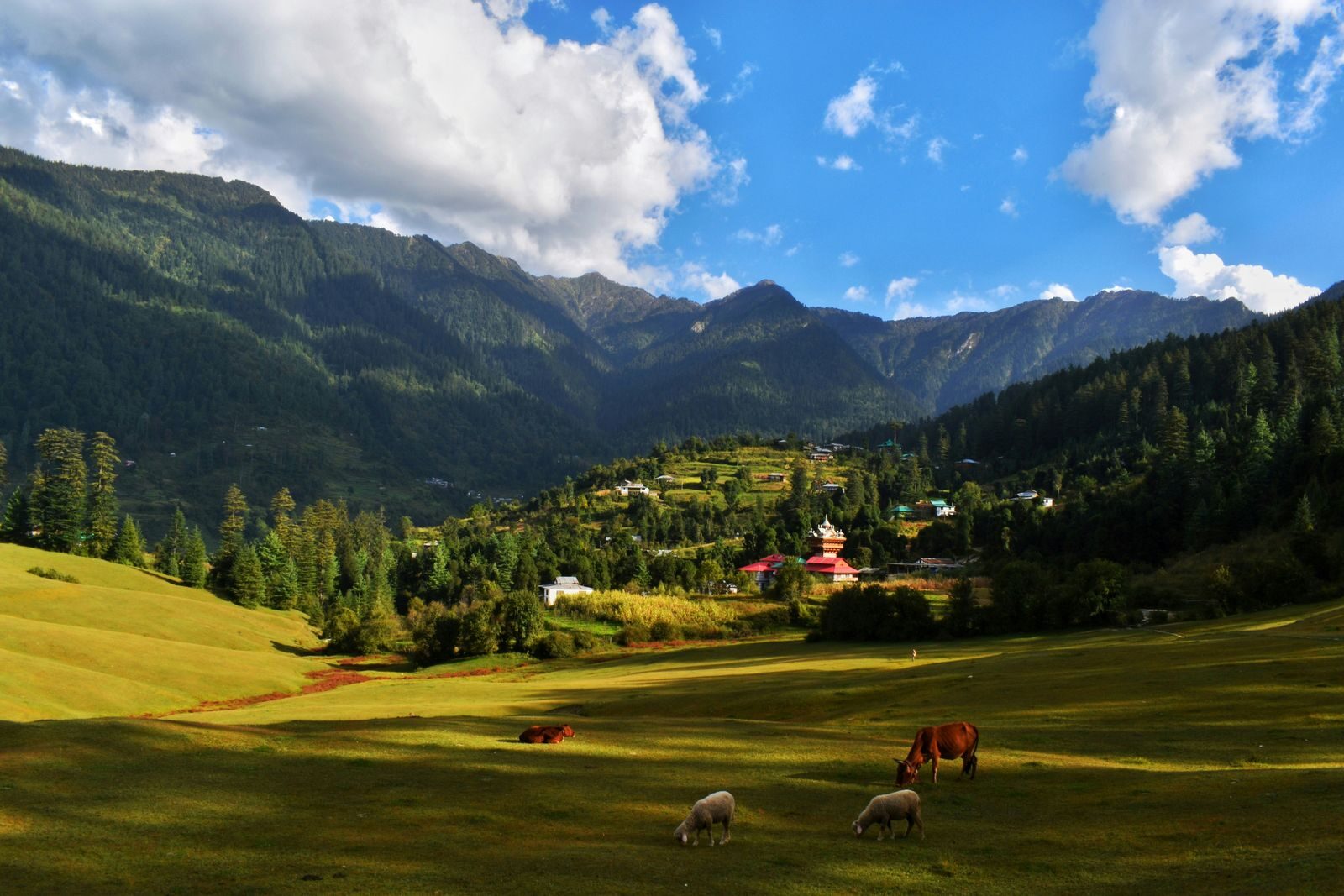 A green Himalayan meadow and village beneath blue sky